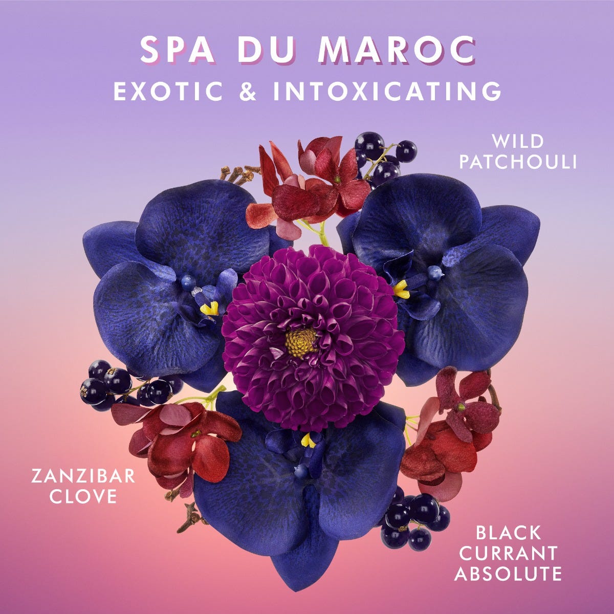 Shower Gel Spa Du Maroc - Image 4